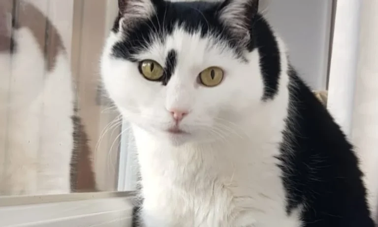 Kleintierpraxis Regensburg