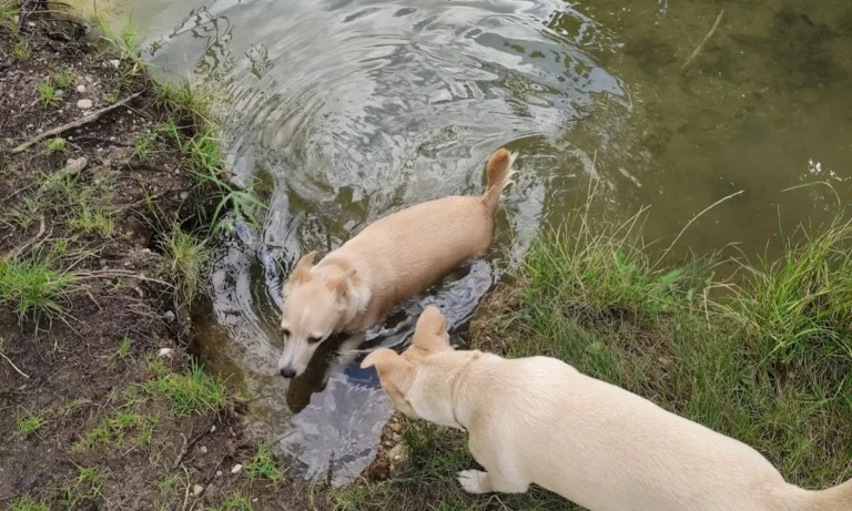 Kleintierpraxis Regensburg