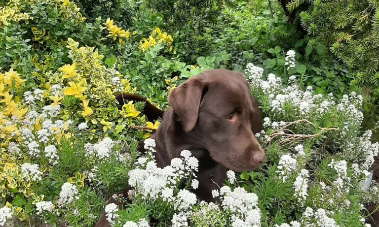 Kleintierpraxis Regensburg