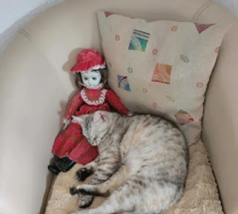 Kleintierpraxis Rita Otten