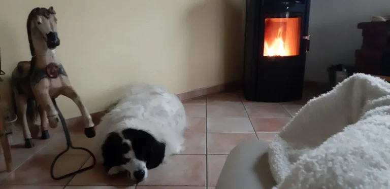 Kleintierpraxis Rita Otten