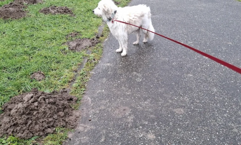 Kleintierpraxis Sinstorf Sonja Gercke