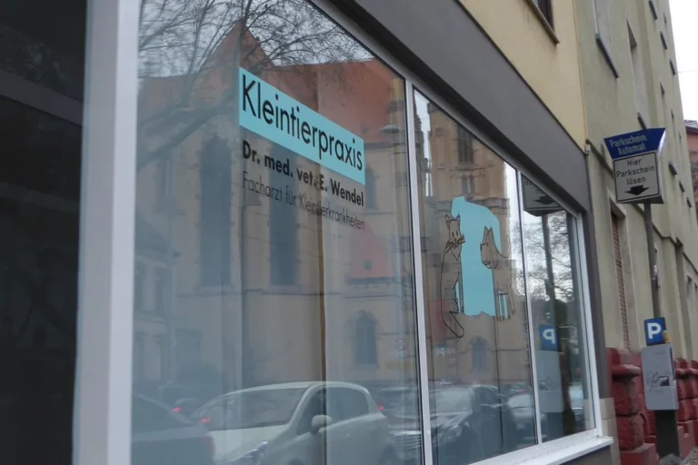 Kleintierpraxis Wendel | Inh. Dr. Fabian Wendel