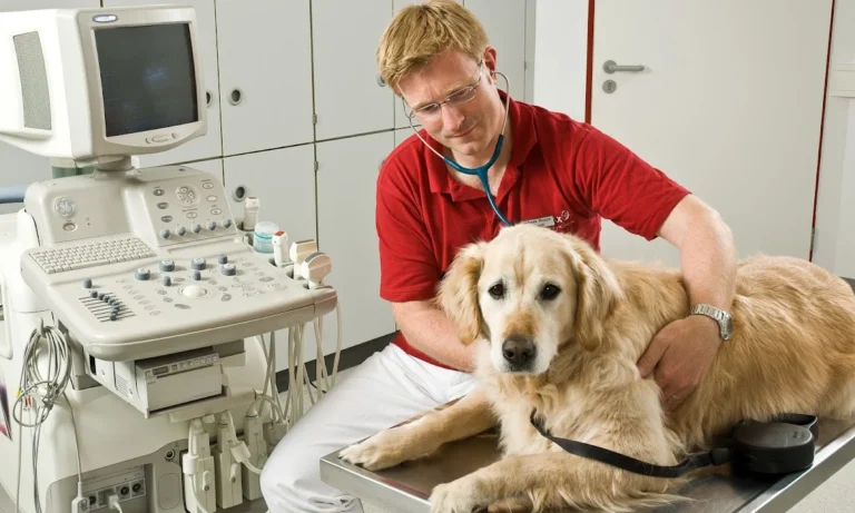 Kleintierpraxis7 Andreas Koppe