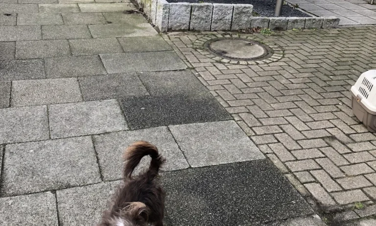 Kleintierpraxis7 Andreas Koppe