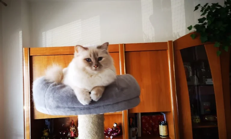 Kleintierzentrum am Waldpark