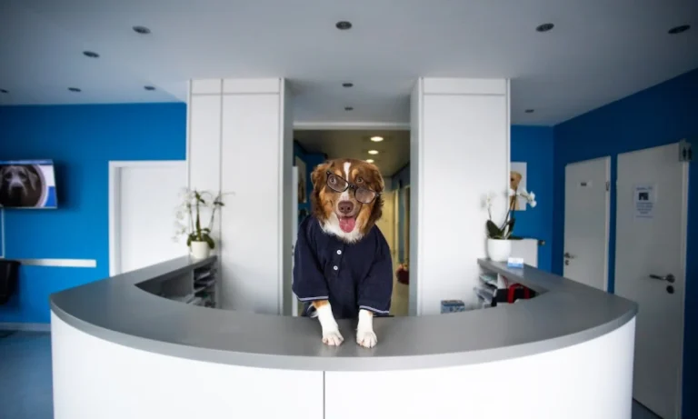 Kleintierzentrum Kotzian