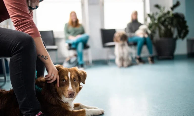 Kleintierzentrum Kotzian