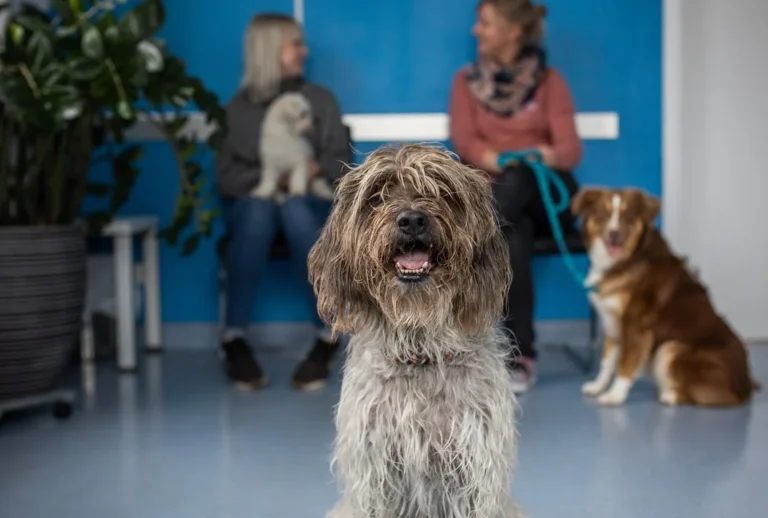 Kleintierzentrum Kotzian