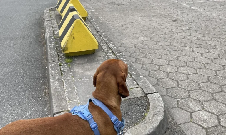 Kleintierzentrum Kotzian