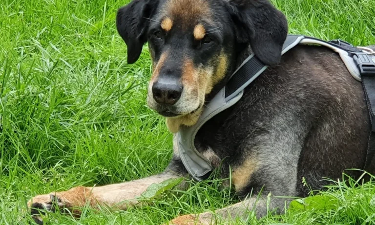 Kleintierzentrum Kotzian