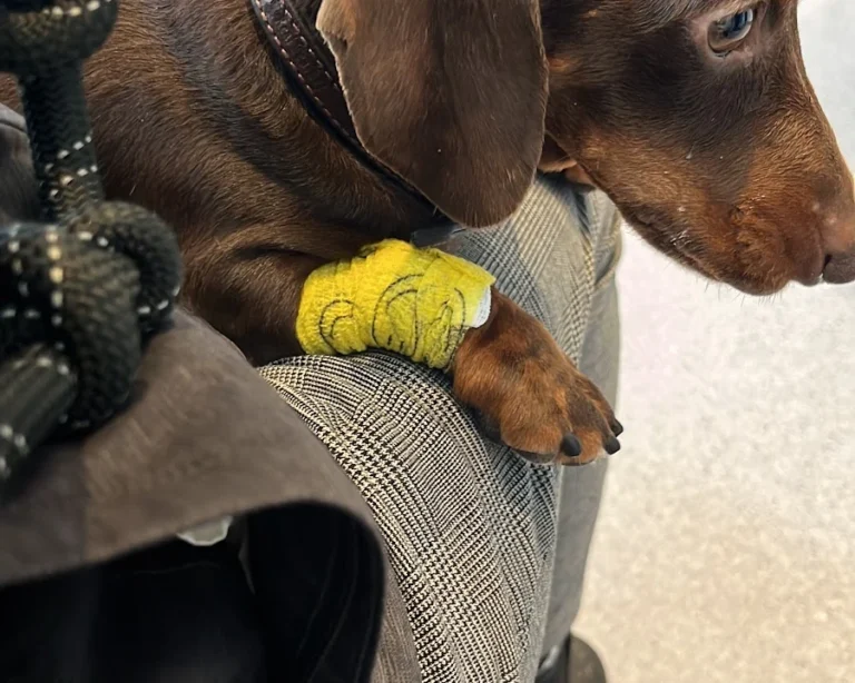 Kleintierzentrum Kotzian