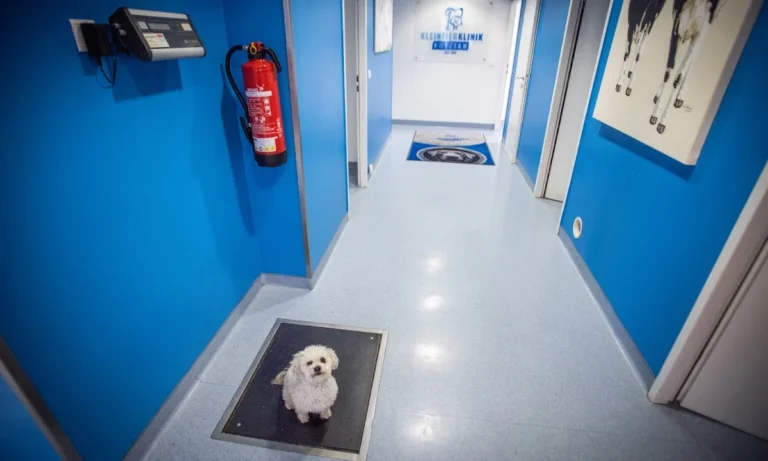 Kleintierzentrum Kotzian