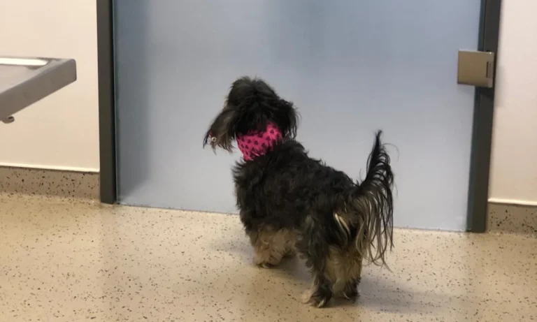 Kleintierzentrum Mainfranken