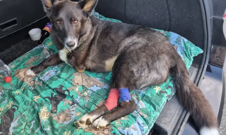 Kleintierzentrum Mainfranken