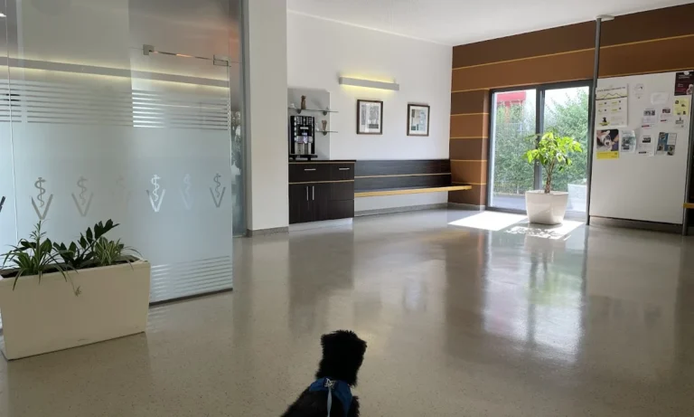 Kleintierzentrum Mainfranken