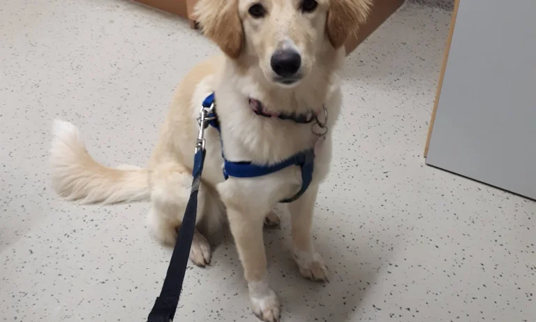 Kleintierzentrum Mainfranken