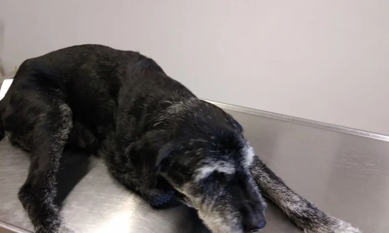 Kleintierzentrum Mainfranken