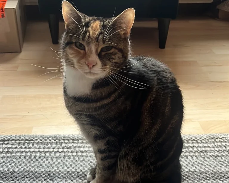 Kleintierzentrum Mainfranken