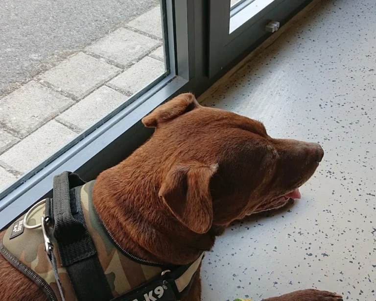 Kleintierzentrum Mainfranken