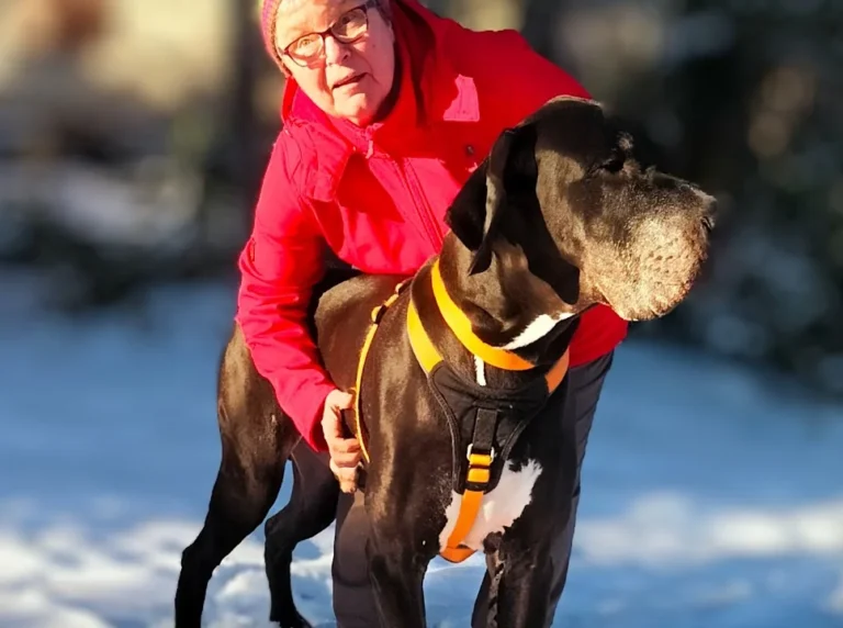 Kleintierzentrum Merkurpark