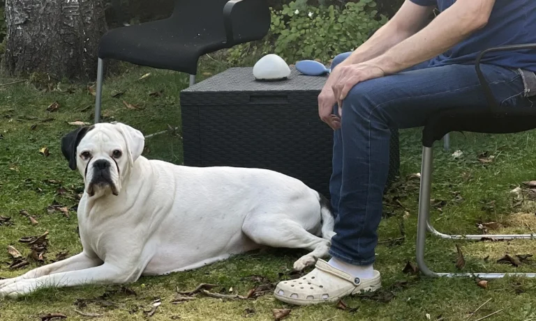 Kleintierzentrum Merkurpark