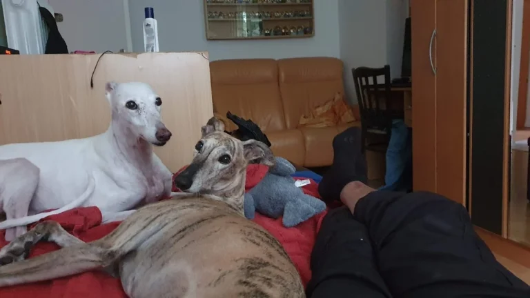 Kleintierzentrum Merkurpark