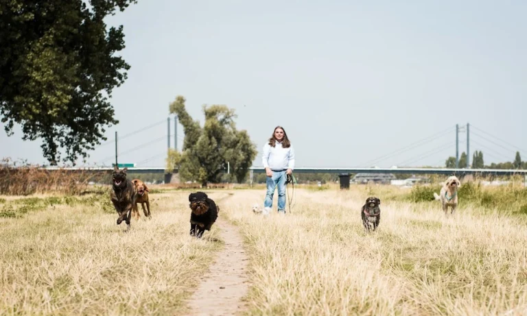 Kleintierzentrum Oberkassel