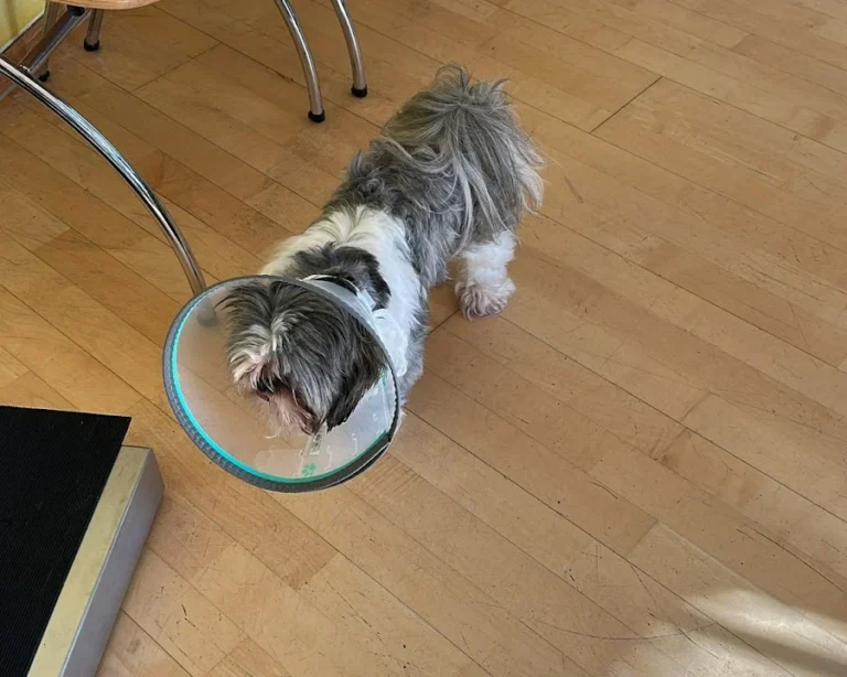 Kleintierzentrum Oberkassel