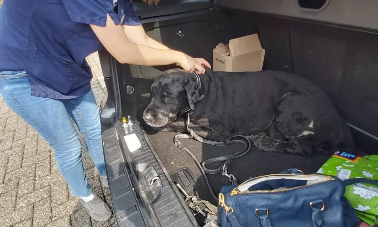 Kleintierzentrum Oberkassel