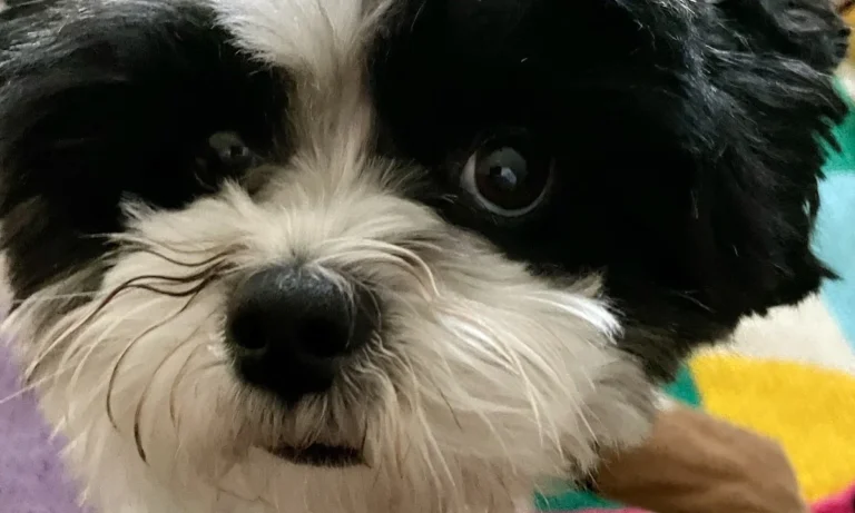 Kleintierzentrum Oberkassel