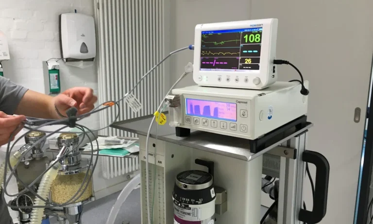 Kompetenzzentrum Kleintiermedizin Dr. Valeska Furck