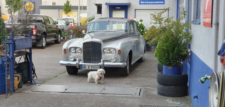 KW Auto Sevice Meisterfachbetrieb