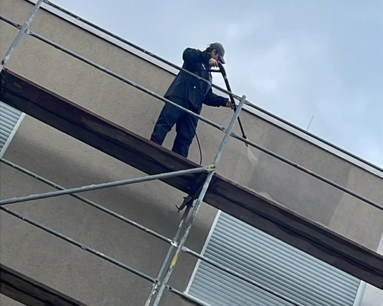 Maler Reich Reutlingen