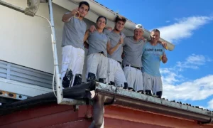 Malerfachbetrieb Horst Schneider | Malerarbeiten - Tapezieren - Bodenbeläge