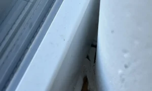 Malerfachbetrieb Koppenhöfer GmbH