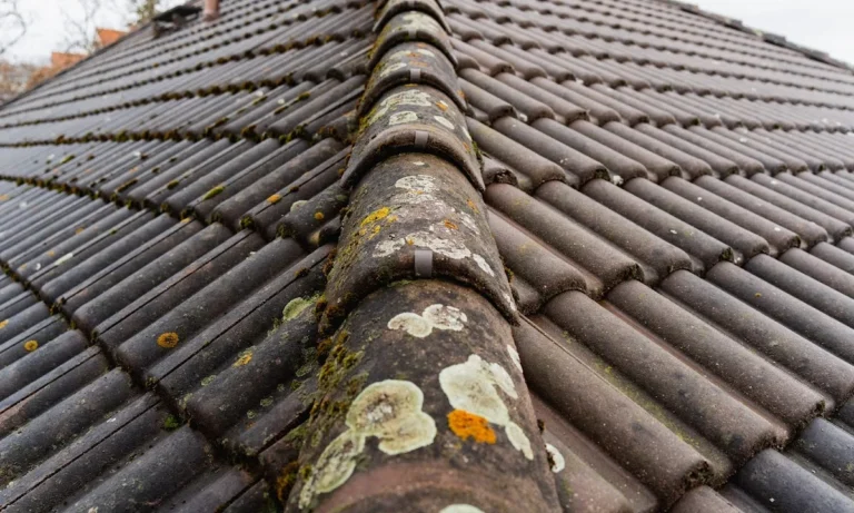 Malerfachbetrieb List GmbH NL Hoyerswerda