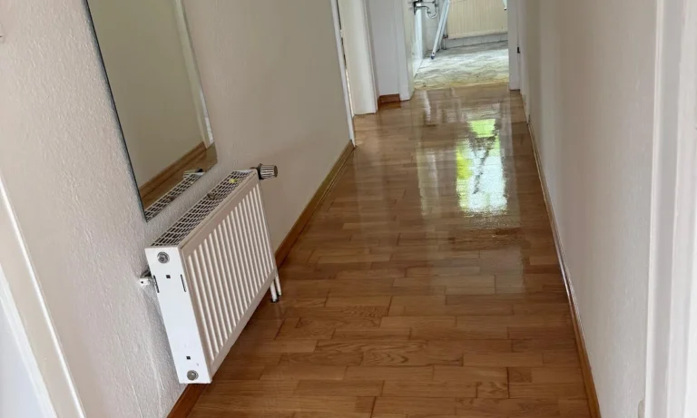 Malermeister Morina Paderborn