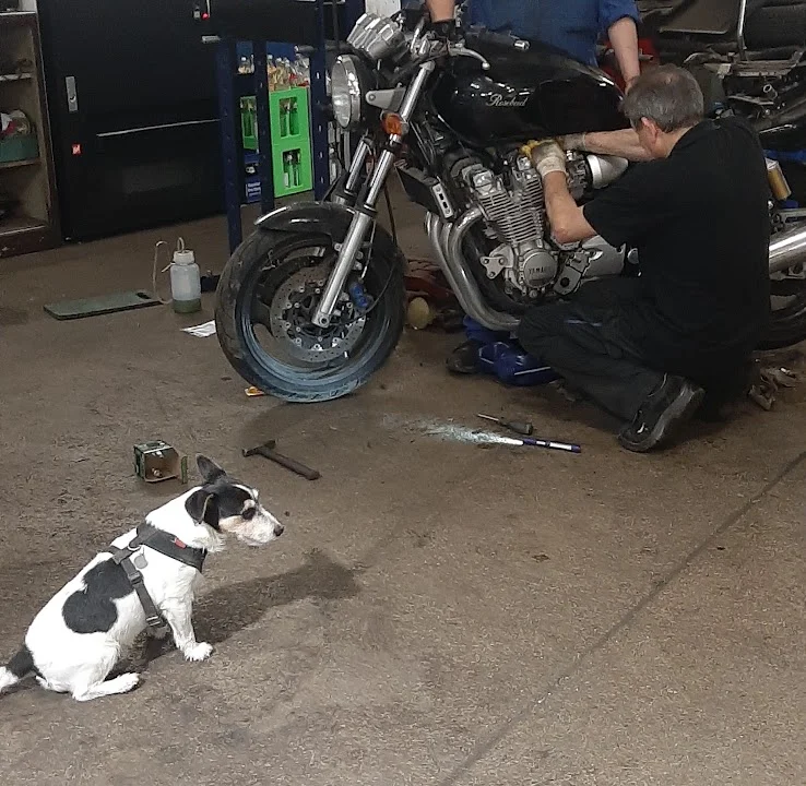 KFZ-Werkstätten Max Süss GmbH München