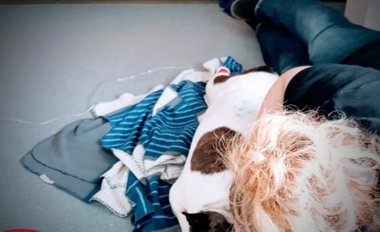 Medivet Tierarztpraxis Hamburg-Farmsen