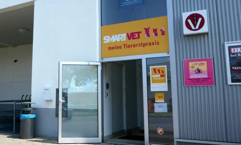 Medivet Tierarztpraxis Heidelberg