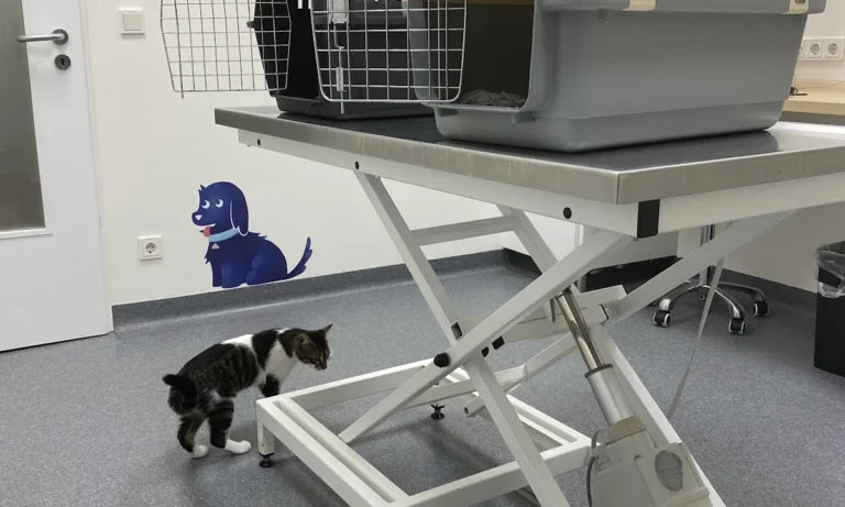 Medivet Tierarztpraxis Mannheim