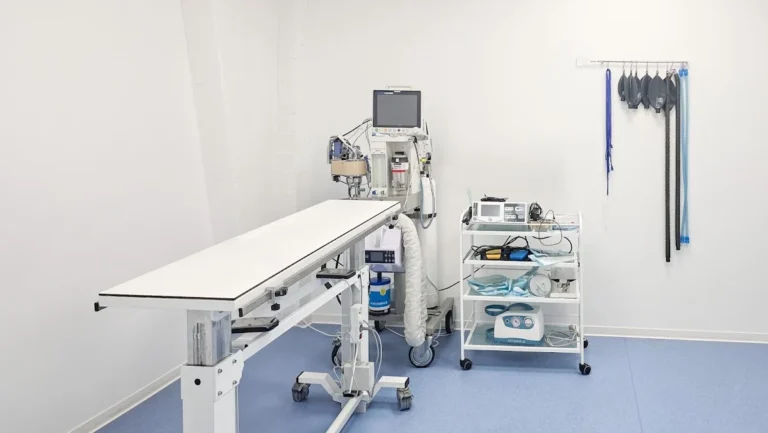 Medivet Tiergesundheitszentrum Gelsenkirchen