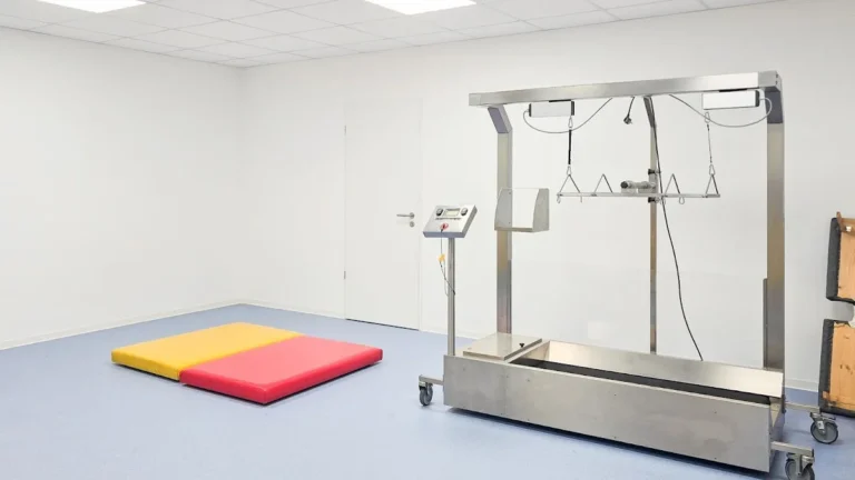 Medivet Tiergesundheitszentrum Gelsenkirchen