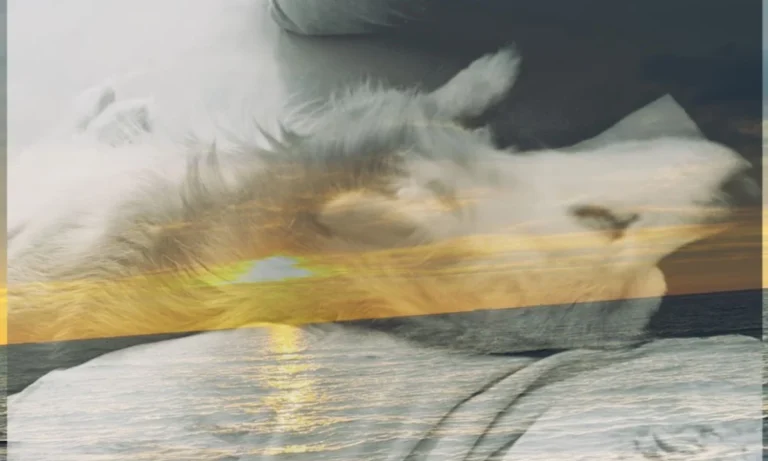 Mobile Tierarztpraxis Alfeel