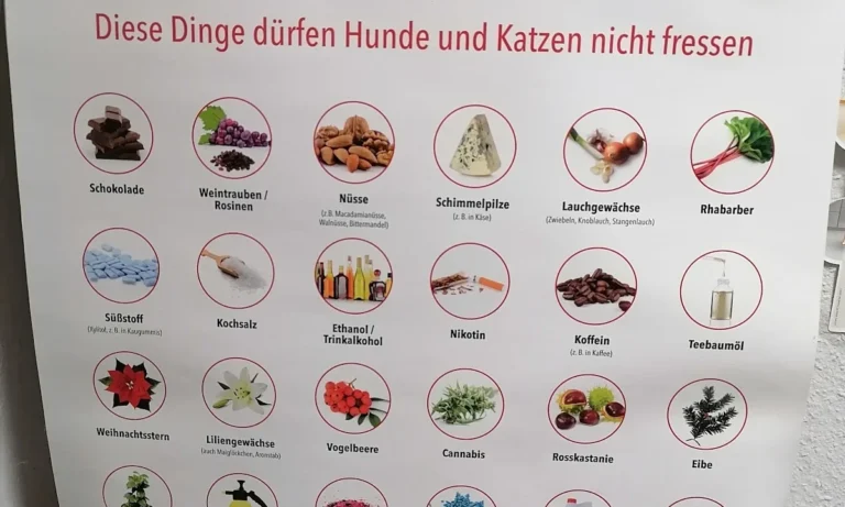 Nadja Breitling Tierarzt