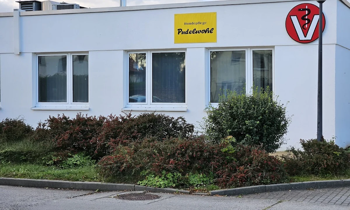 Tierarzt Noack Katrin Kleintierpraxis Cottbus