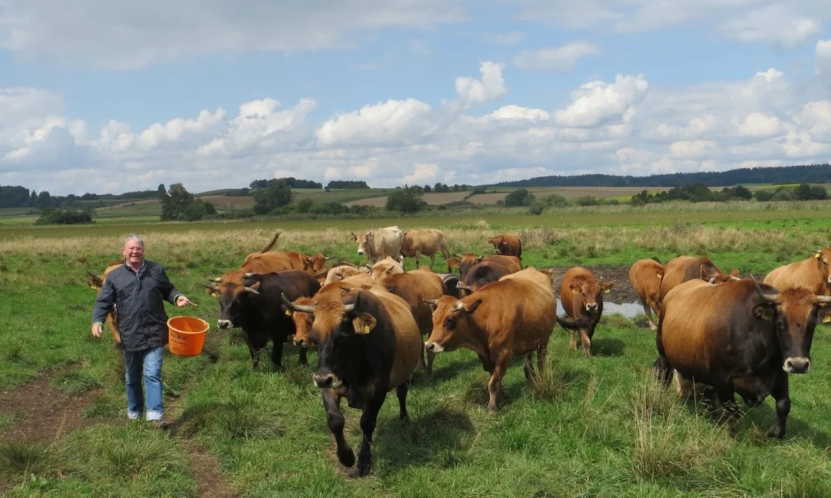 Tierarzt Nutztierpraxis Dr. Ebner – Keine Kleintiere Ingolstadt