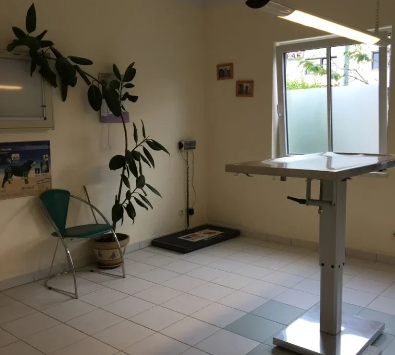 Oliver Steger Tierarzt