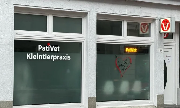 PatiVet Kleintierpraxis in Hannover Mitte, prakt. Tierärztin Dr. Hacer Kayaçelebi